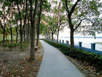 湖边小路