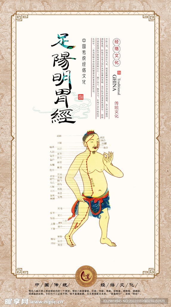 穴位