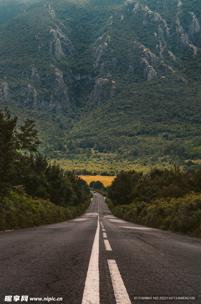 道路 
