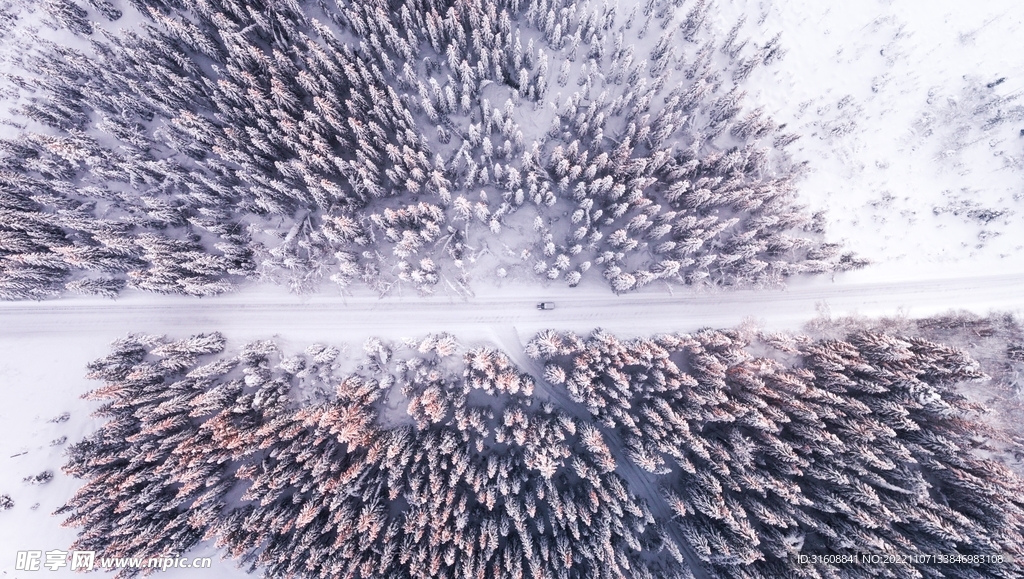 道路