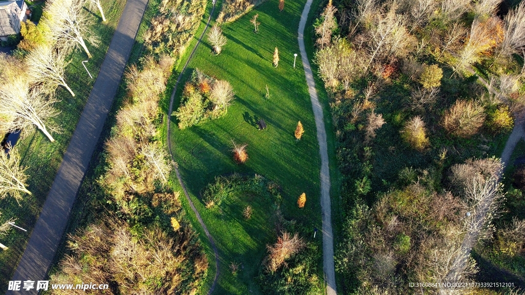 道路 