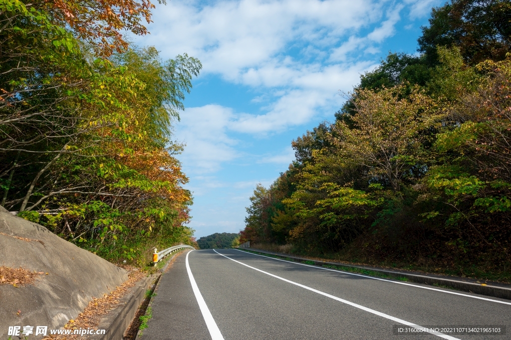 道路 
