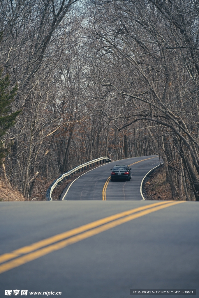 道路 
