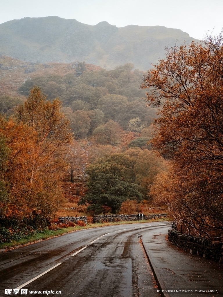 道路 