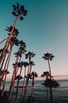 海边