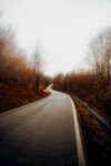 林中公路