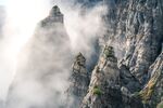 山中迷雾