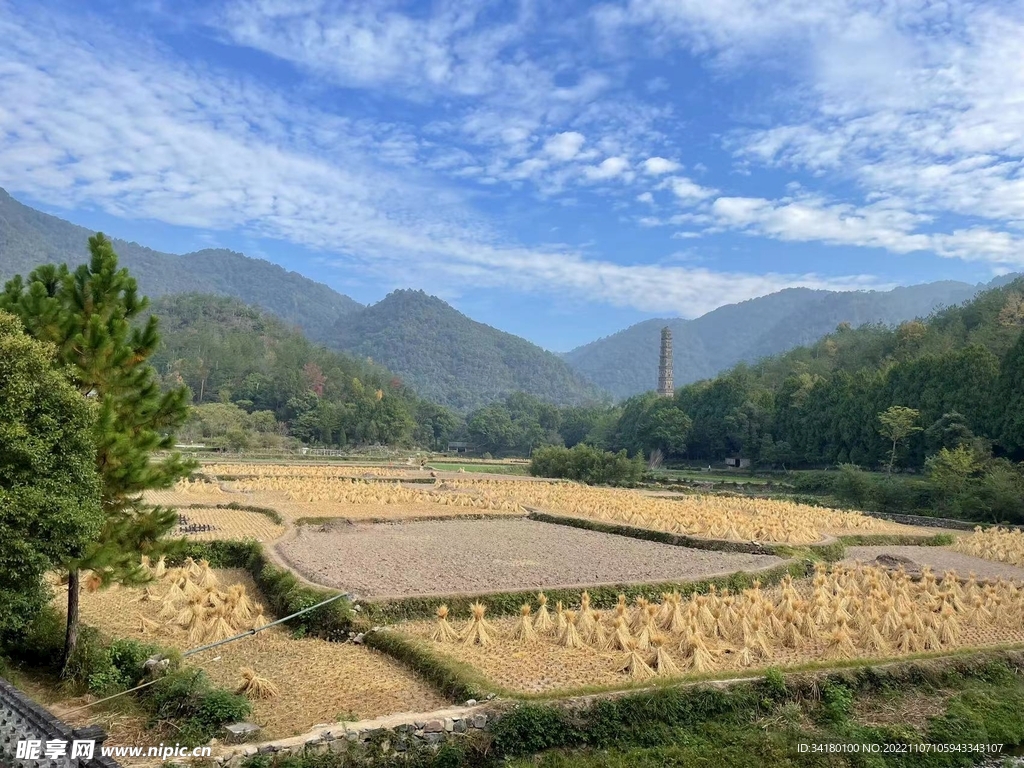 秋田