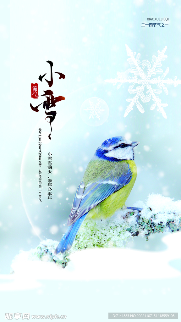 小雪
