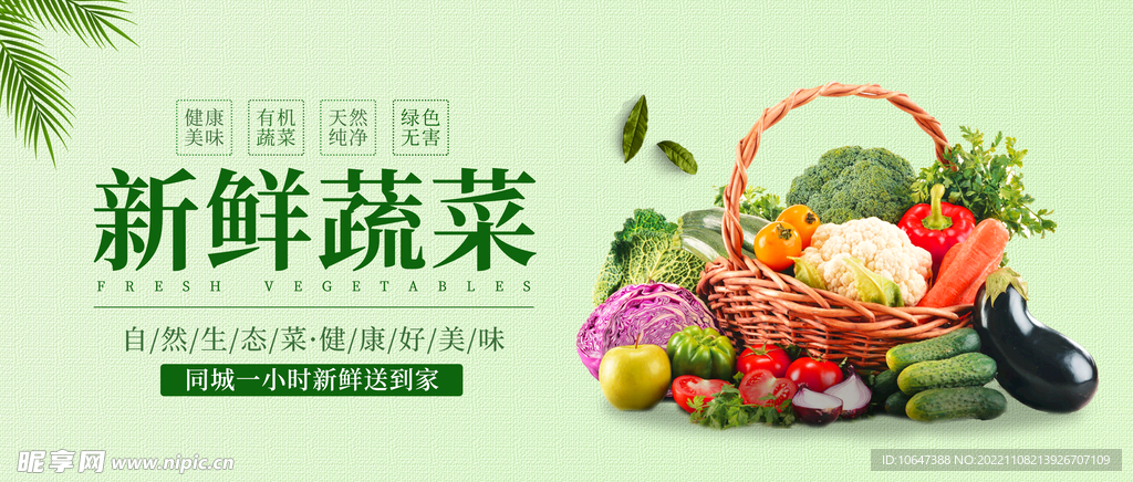 新鲜蔬菜