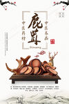 鹿茸