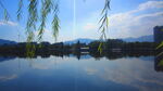 江边风景素材 风景如画  江岸