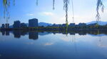 江边风景素材 风景如画  江岸