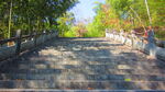 公园阶梯 台阶  上山 爬山 