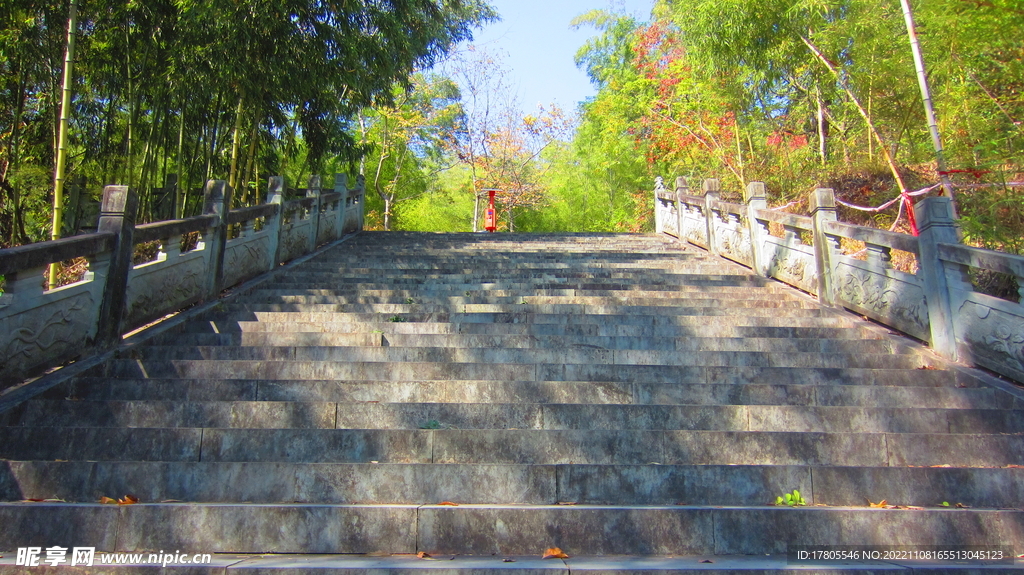公园阶梯 台阶  上山 爬山 