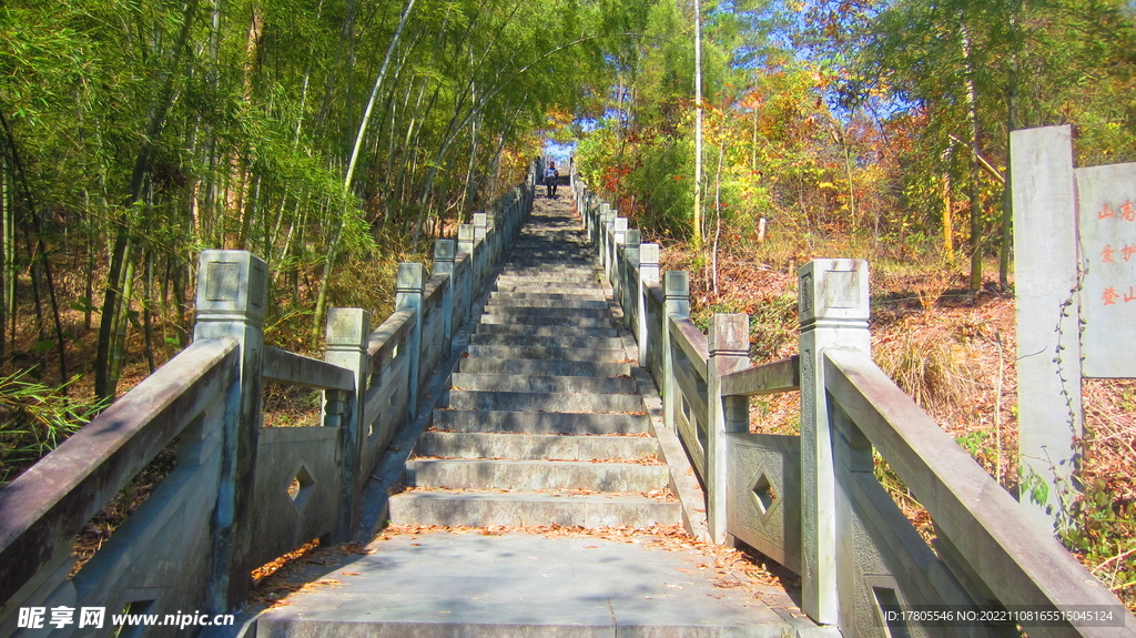 公园阶梯 台阶  上山 爬山 