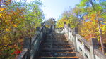 公园阶梯 台阶 上山 爬山  