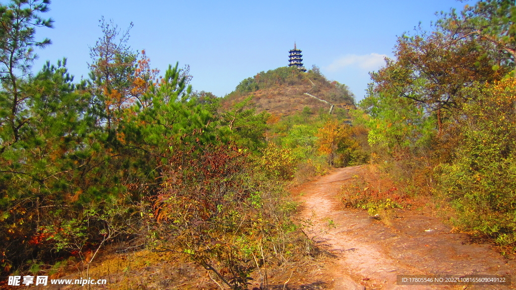 五岩山景点 义乌华溪 古塔风景