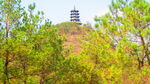 五岩山塔  古塔 义乌华溪