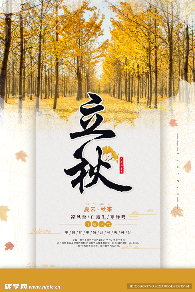 秋季秋天海报摄影