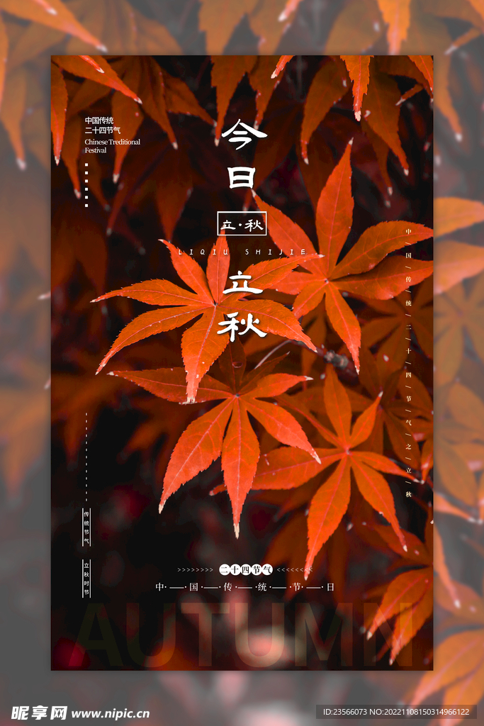 金秋创意节气海报