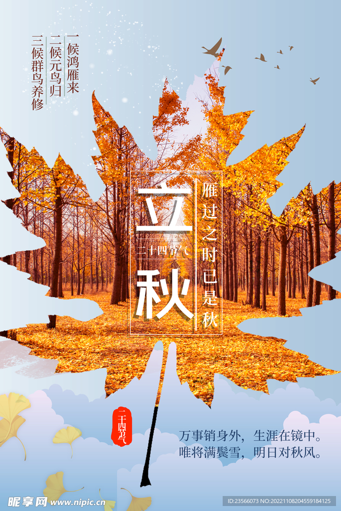 金秋创意节气海报