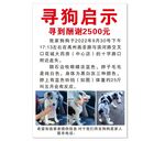 寻狗启事
