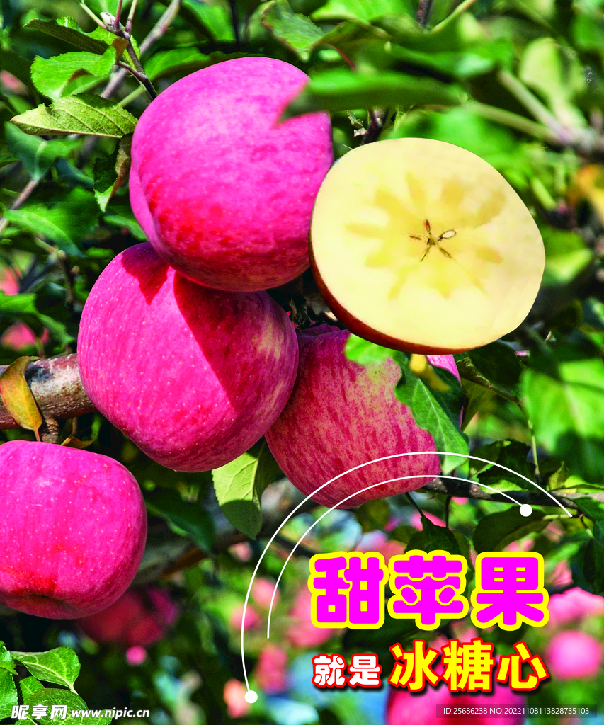 苹果海报