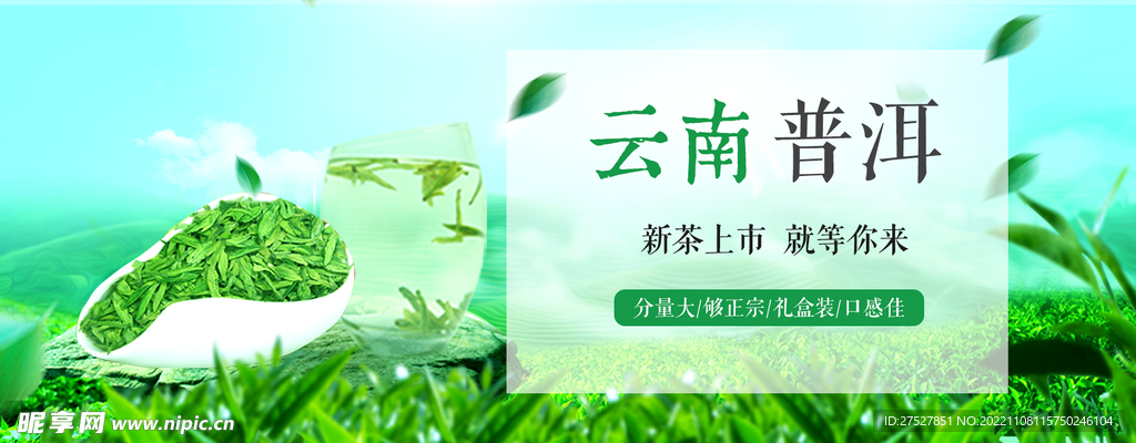 云南普洱茶bannner