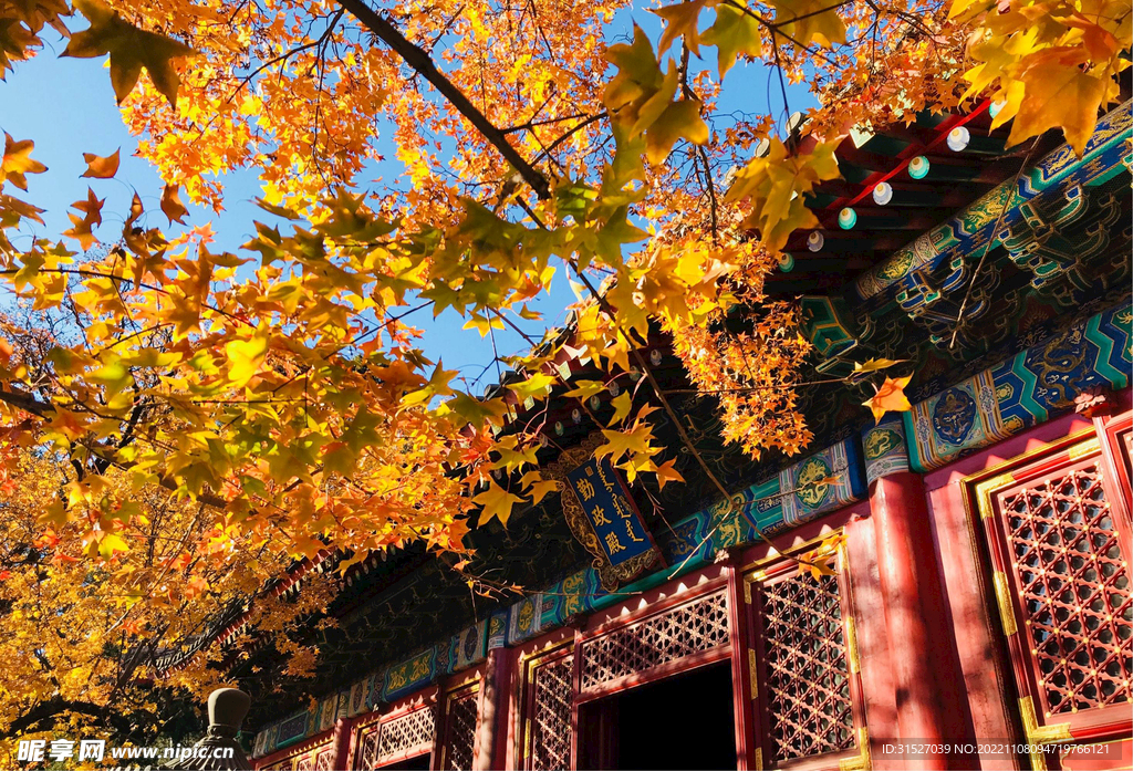 北京香山