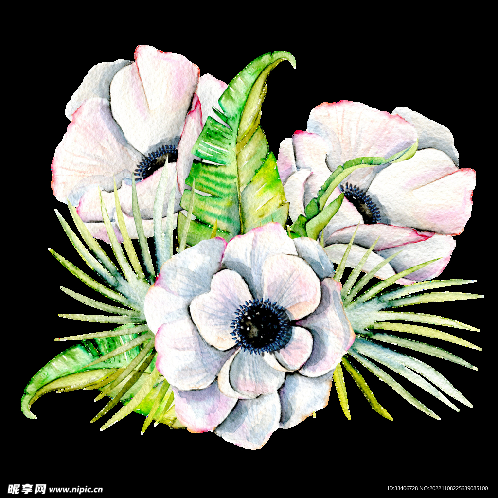 手绘花卉