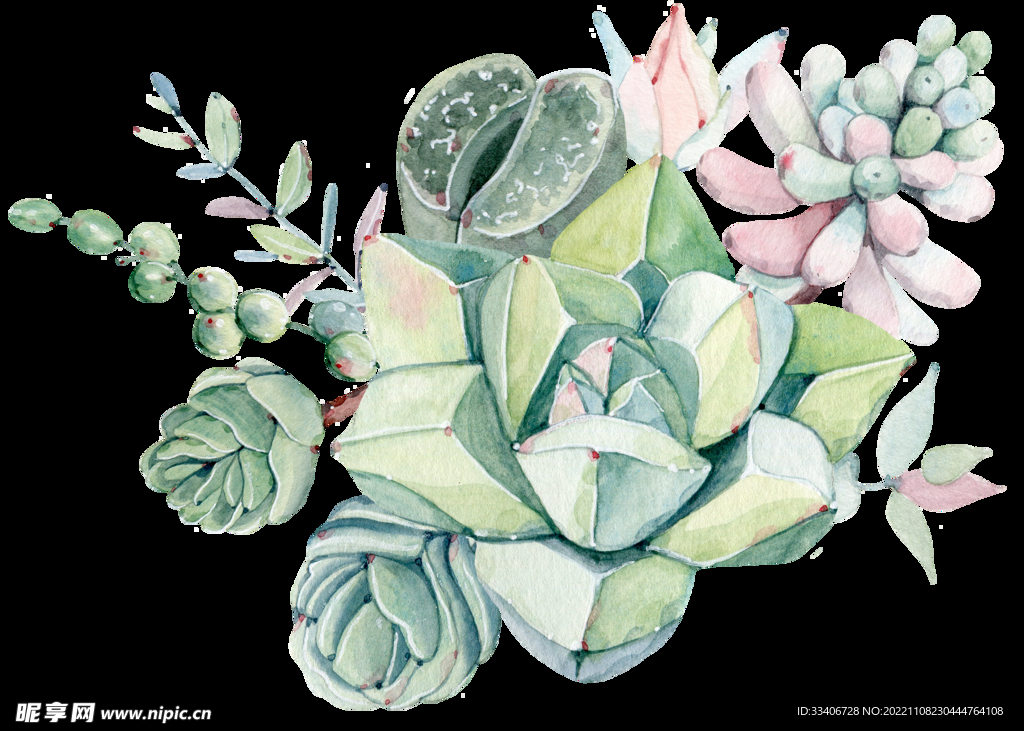 花卉背景 
