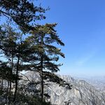 雪景