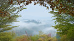 吉野   