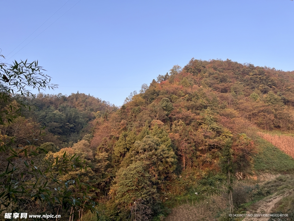 秋季山林