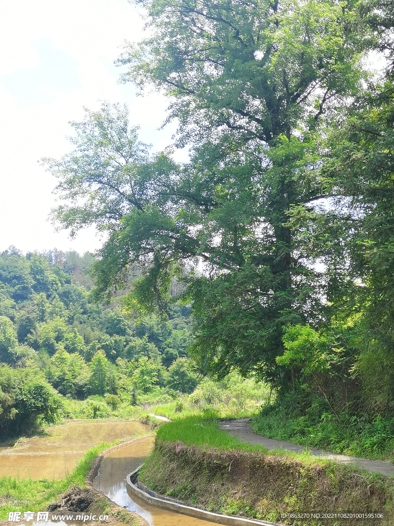 田间弯道