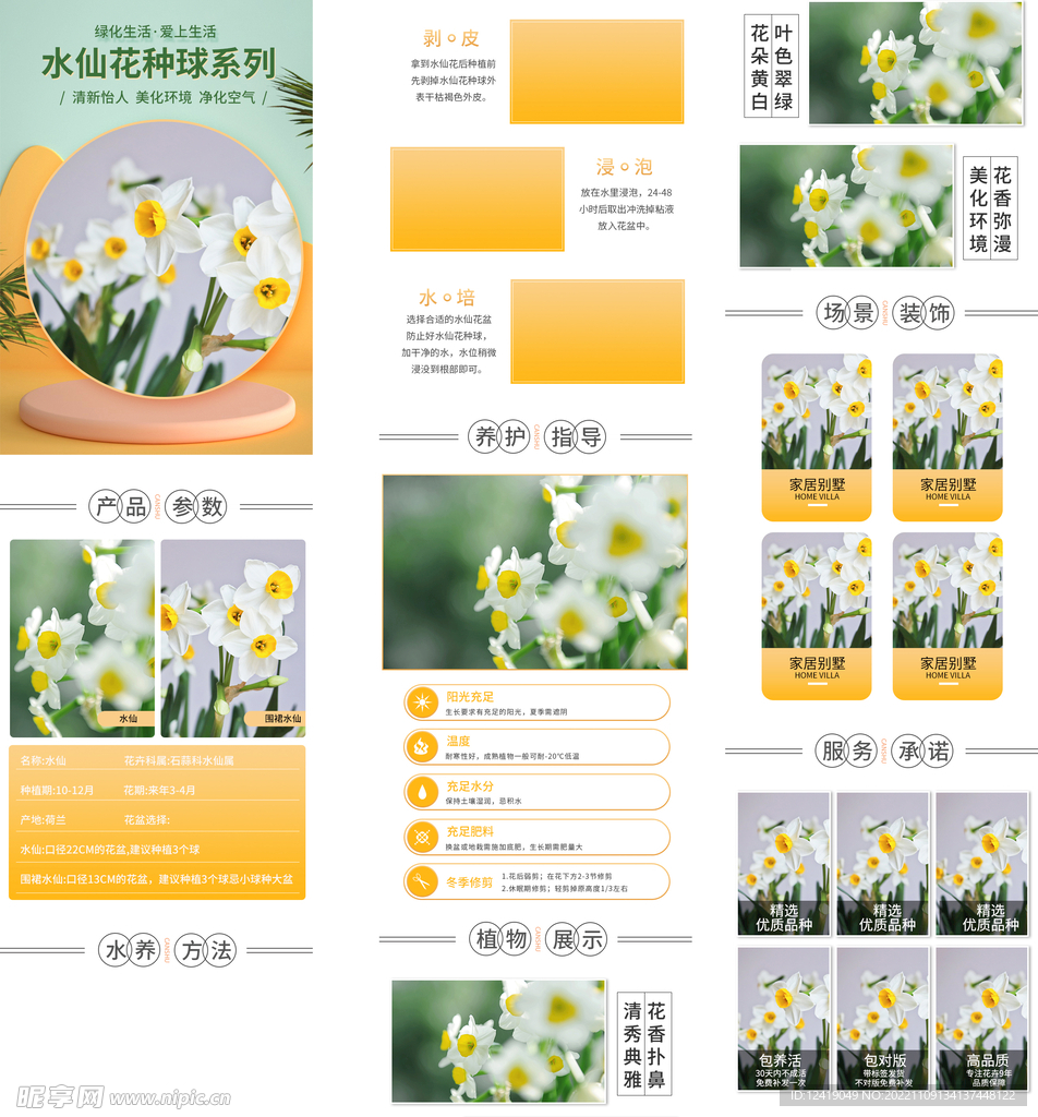 水仙花详情页