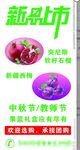 新品上市石榴西梅