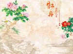 牡丹花开富贵