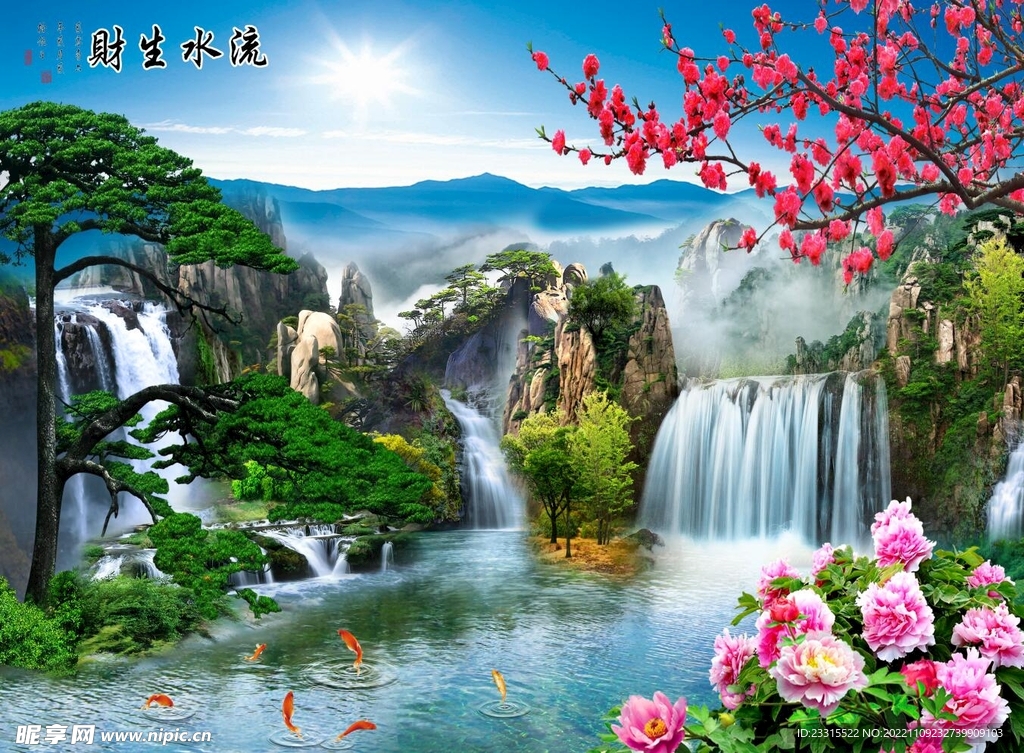 牡丹花开