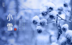 小雪海报