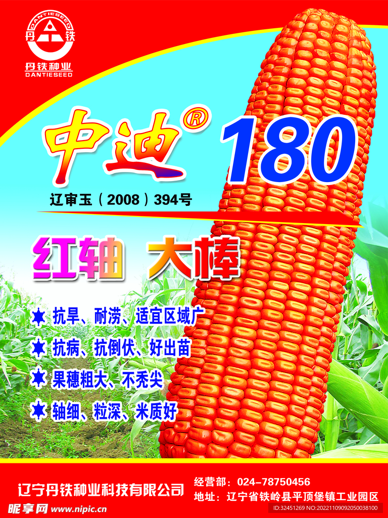 玉米 