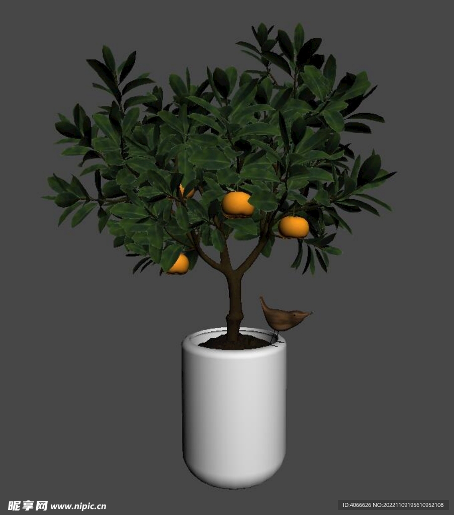 橘子树盆栽3d模型