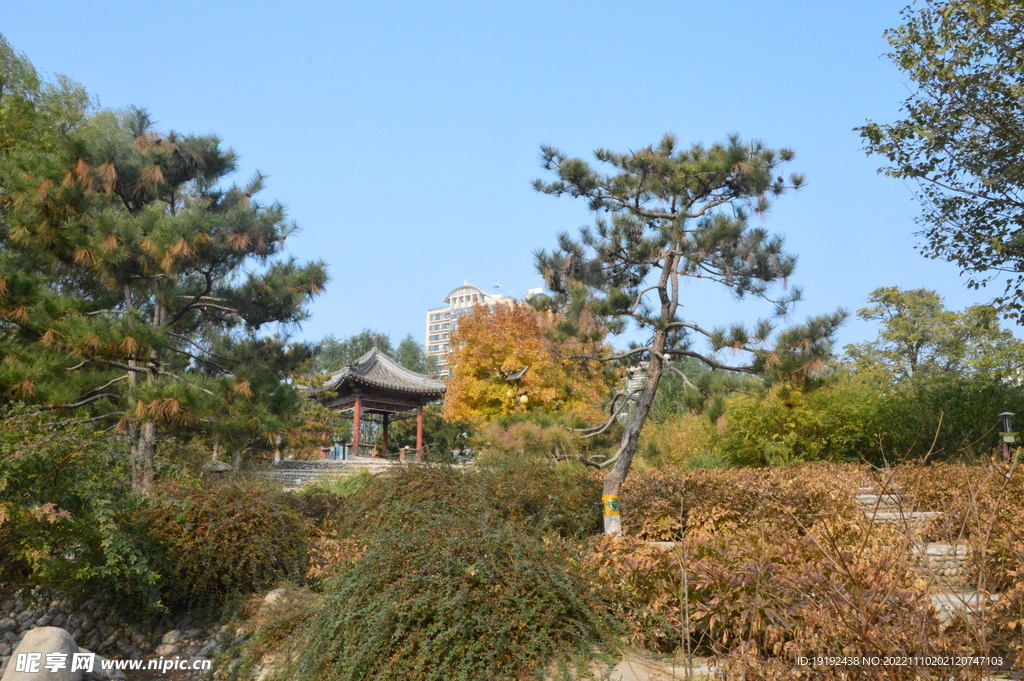 公园风景 