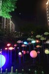 公园夜景