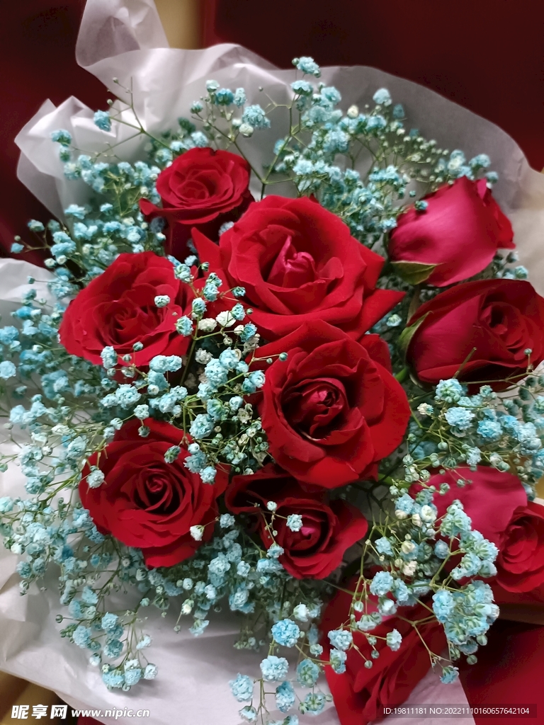 玫瑰花