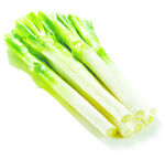 大葱