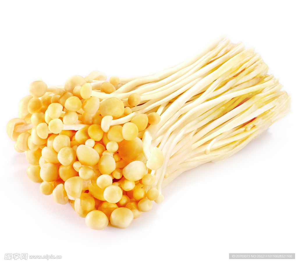 金针菇