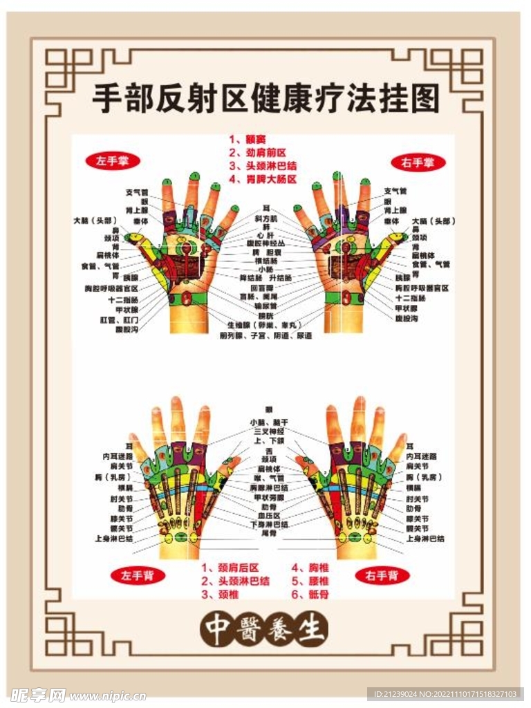 手部经络图