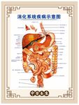 消化系统示意图